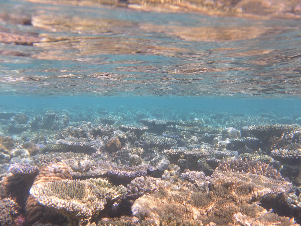 Image SAM_0216.JPG