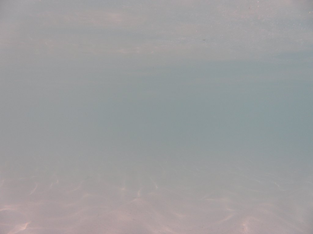 Image SAM_0229.JPG