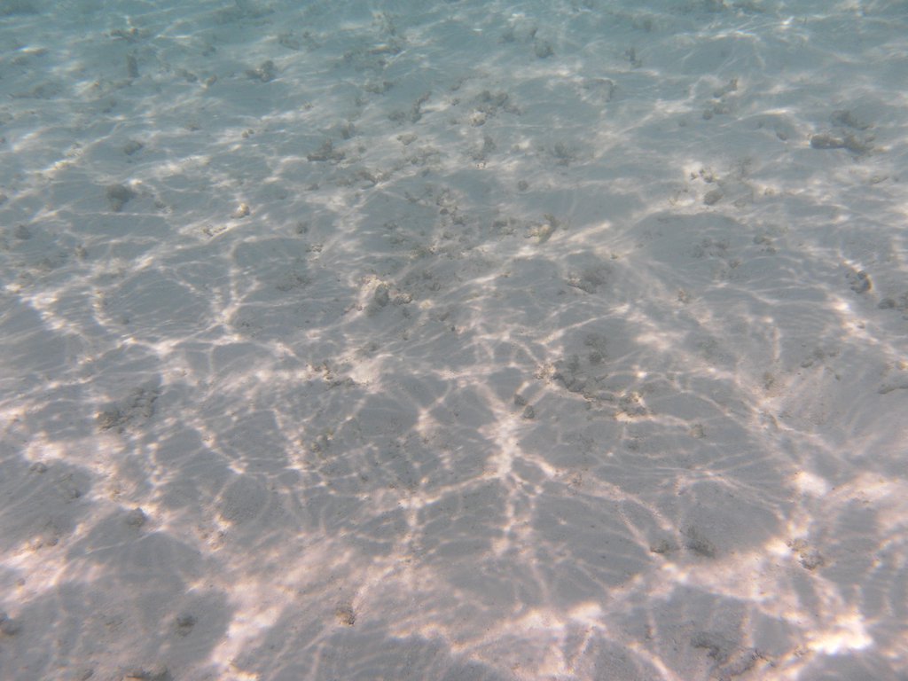 Image SAM_0232.JPG