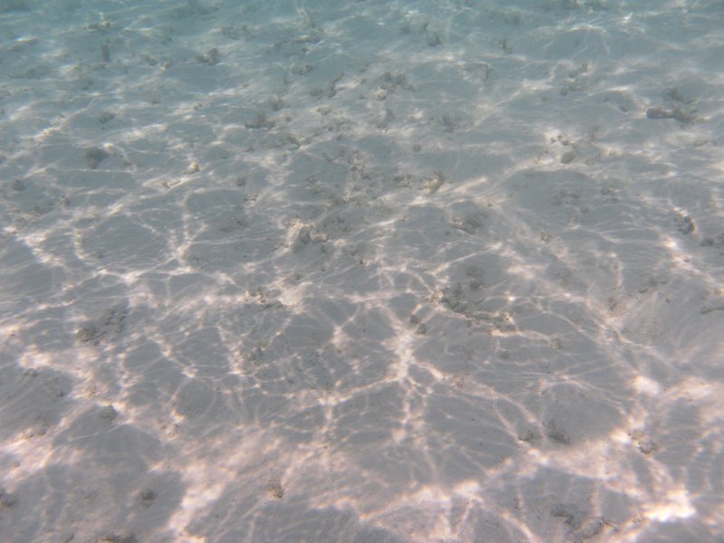 Image SAM_0232.JPG