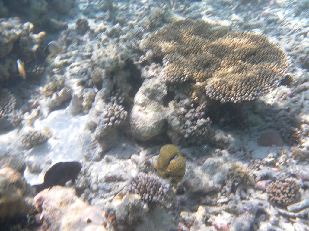 Image SAM_0241.JPG