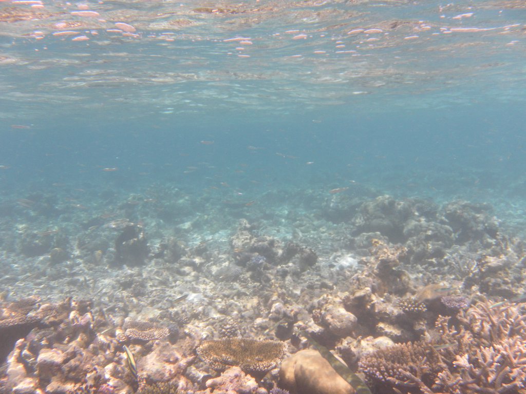 Image SAM_0244.JPG