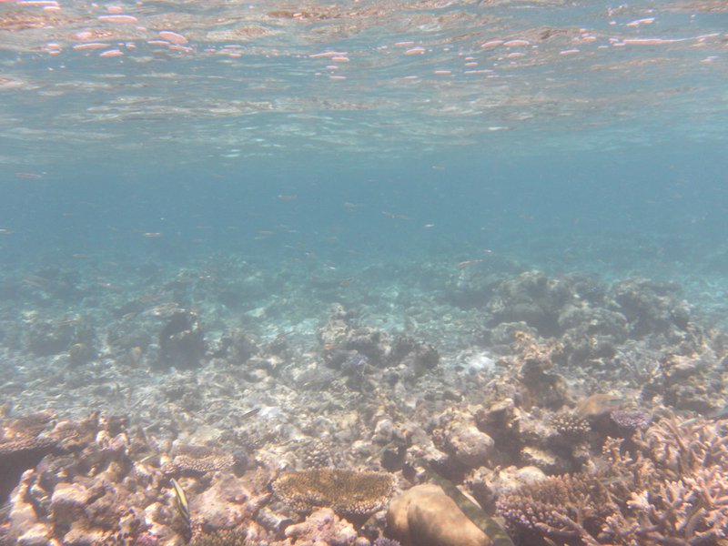 Image SAM_0244.JPG