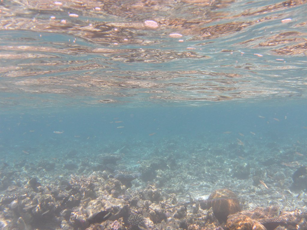 Image SAM_0245.JPG