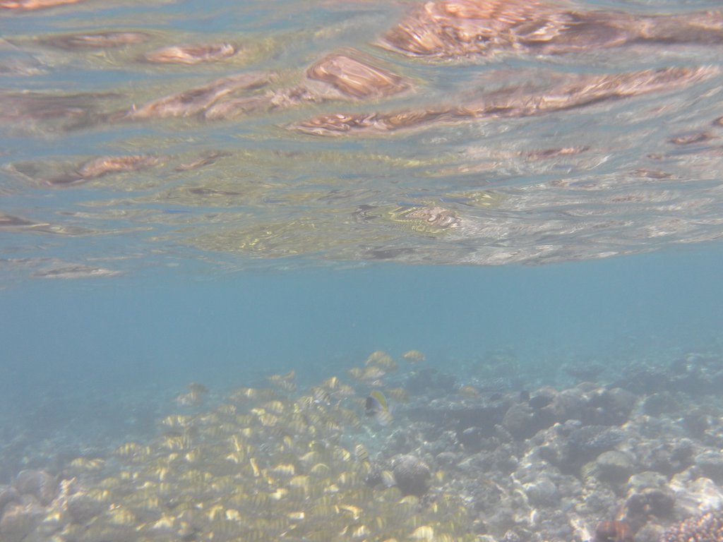 Image SAM_0251.JPG