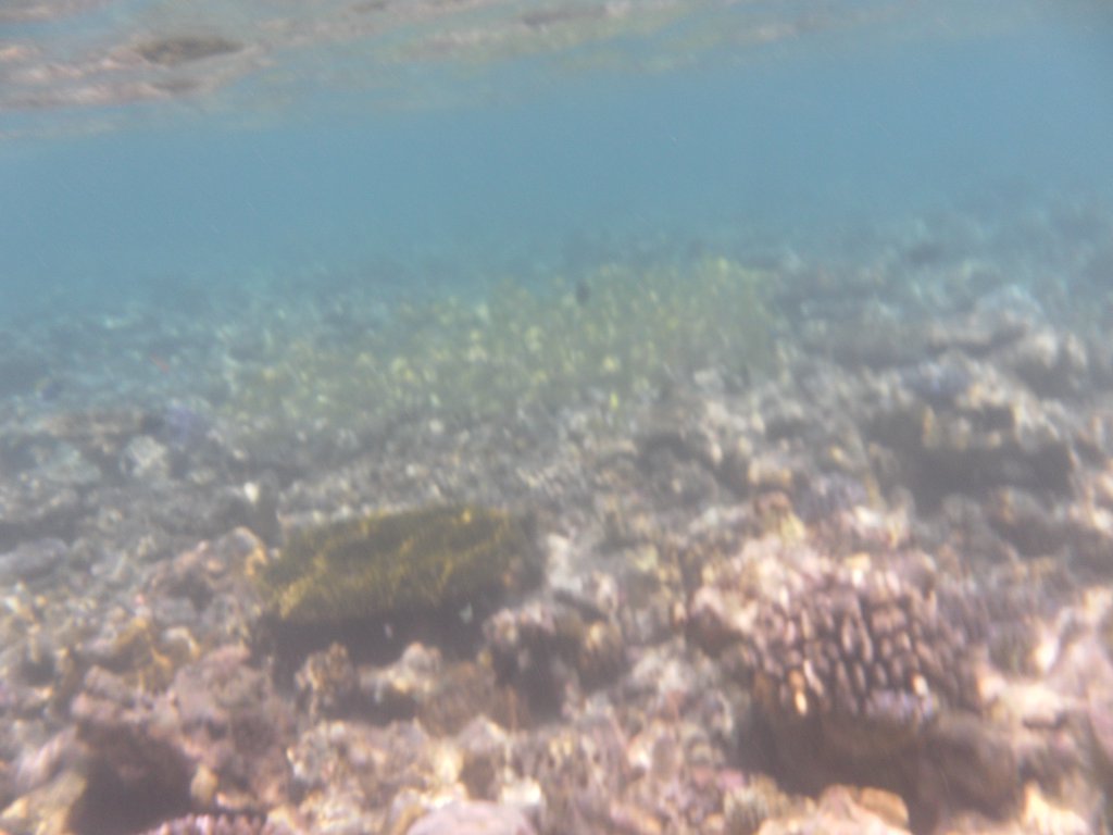 Image SAM_0252.JPG