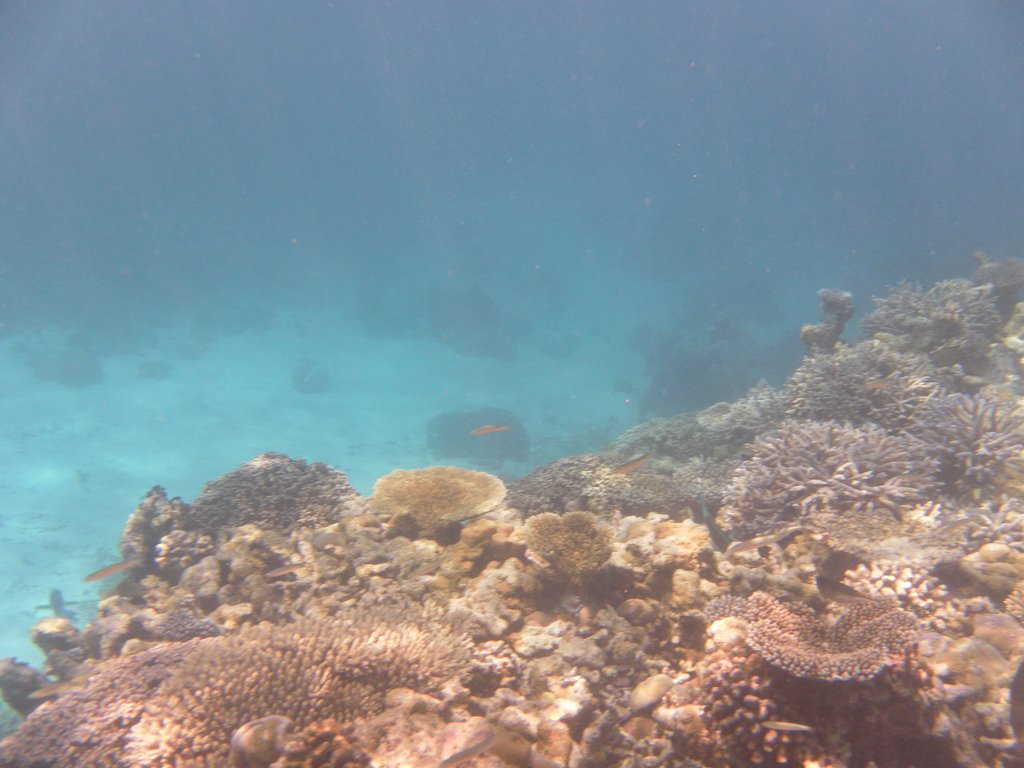 Image SAM_0253.JPG