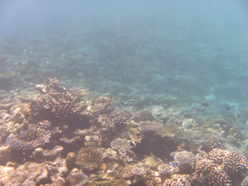 Image SAM_0254.JPG