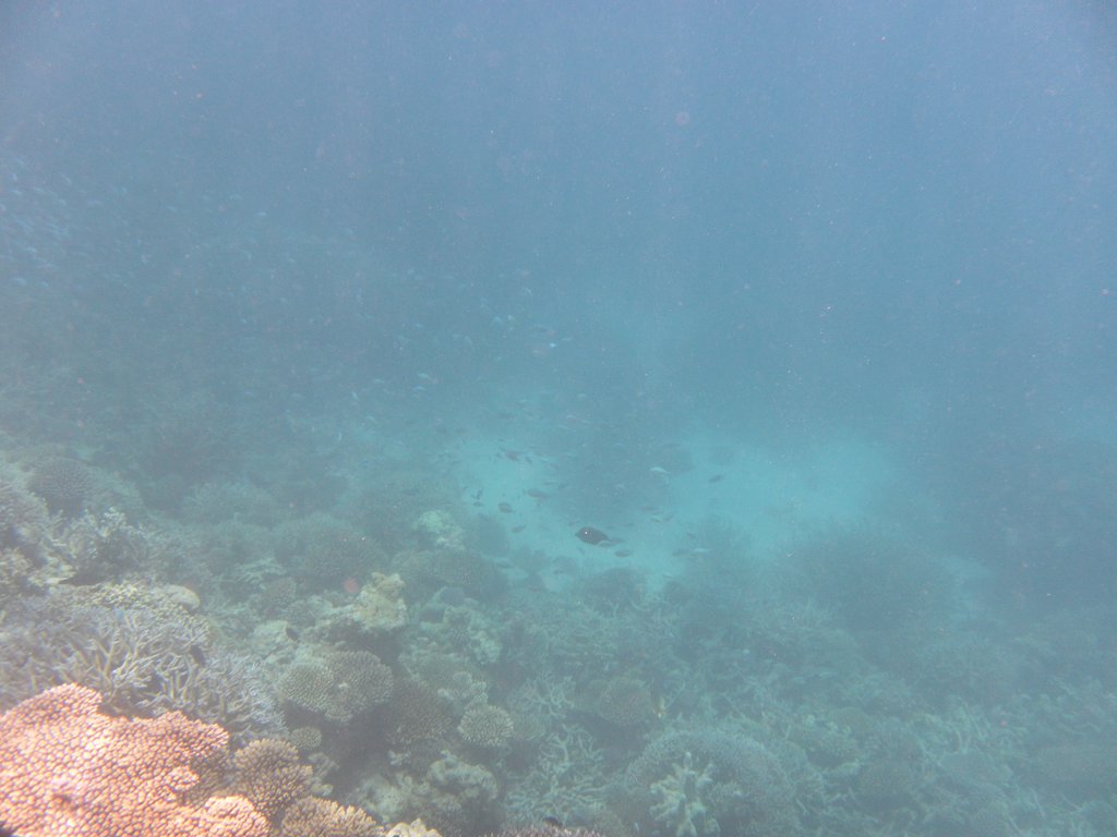 Image SAM_0257.JPG