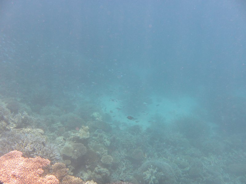 Image SAM_0257.JPG