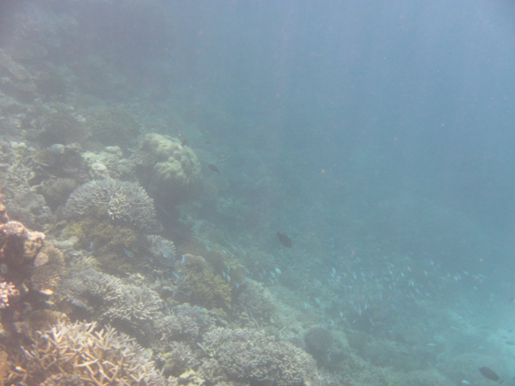 Image SAM_0258.JPG