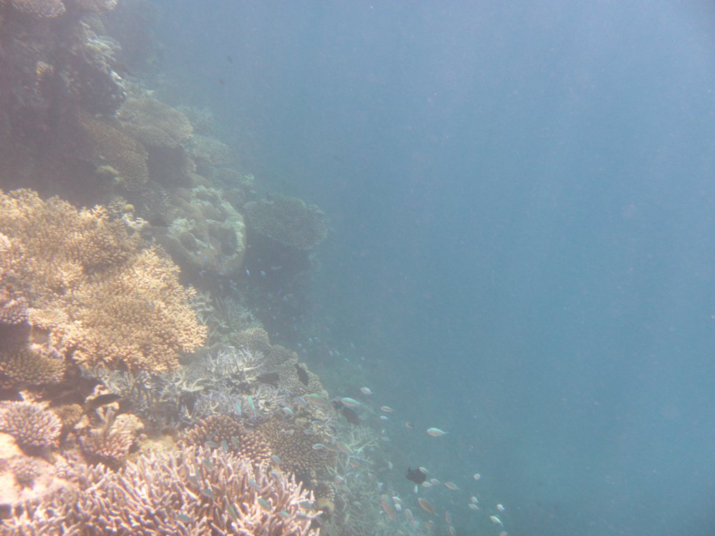 Image SAM_0263.JPG