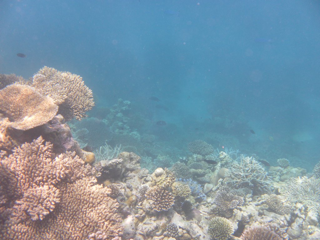 Image SAM_0264.JPG