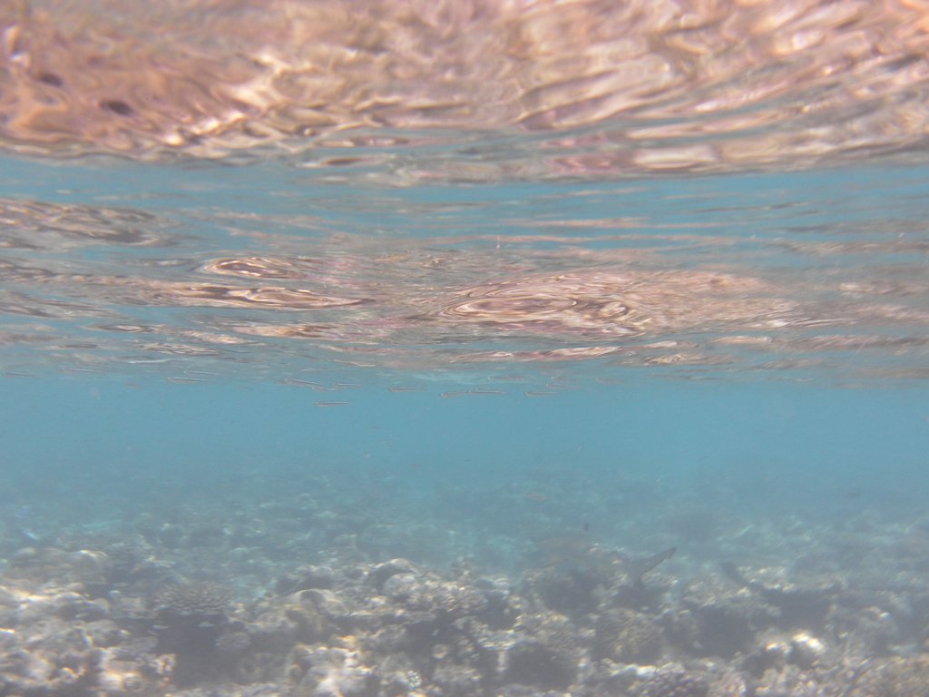 Image SAM_0271.JPG