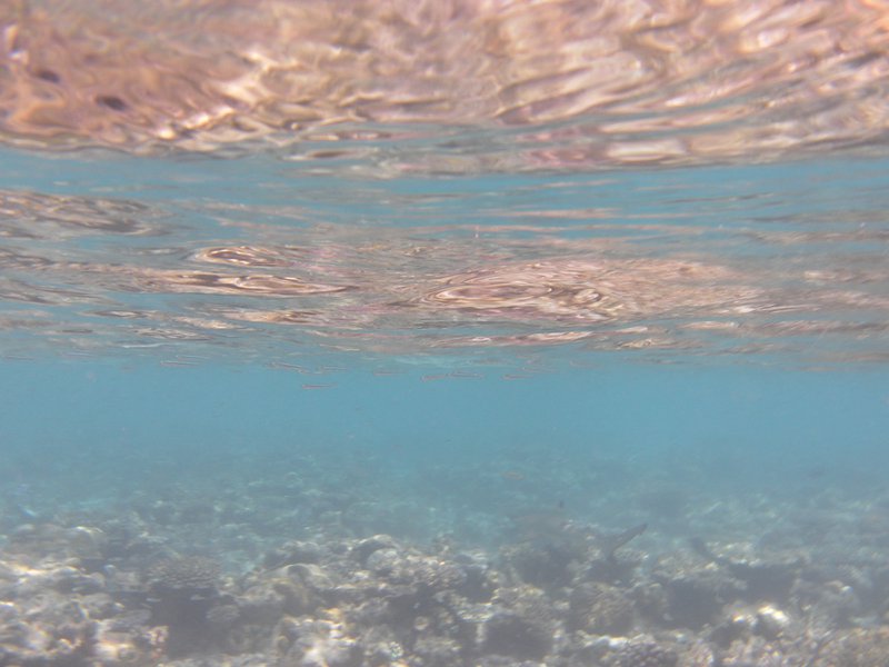 Image SAM_0271.JPG
