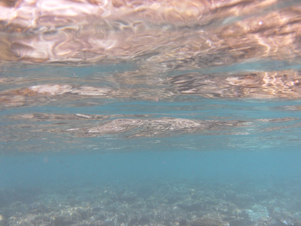 Image SAM_0272.JPG