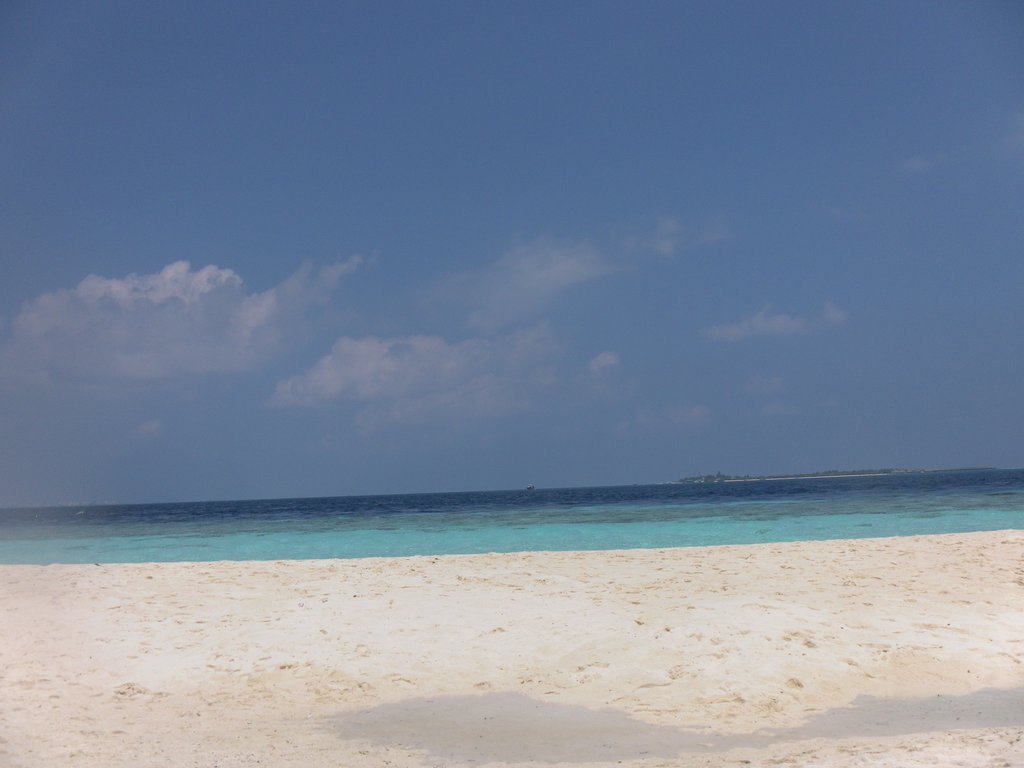 Image SAM_0277.JPG