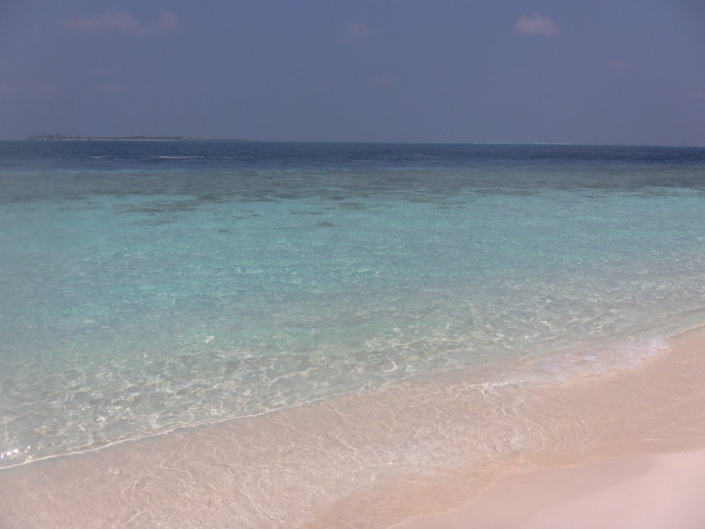 Image SAM_0280.JPG