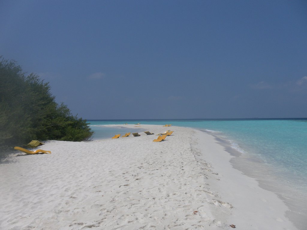 Image SAM_0281.JPG