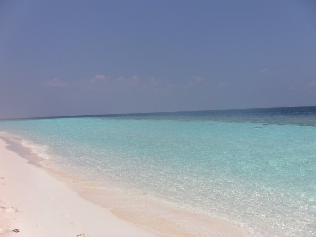 Image SAM_0282.JPG