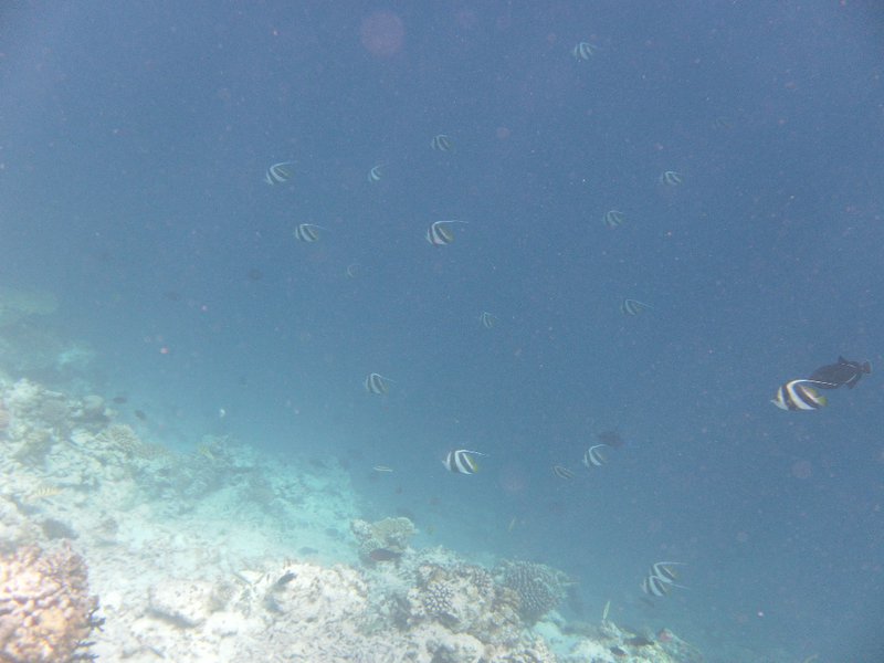 Image SAM_0291.JPG