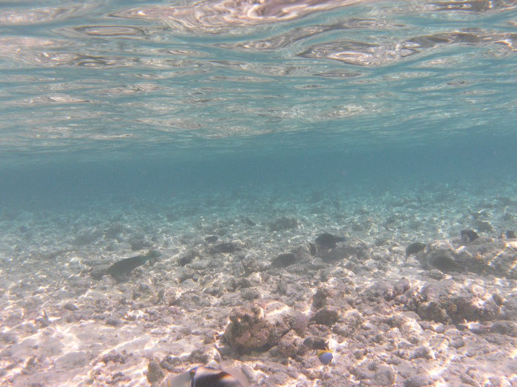 Image SAM_0292.JPG
