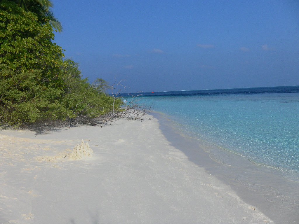 Image SAM_0296.JPG