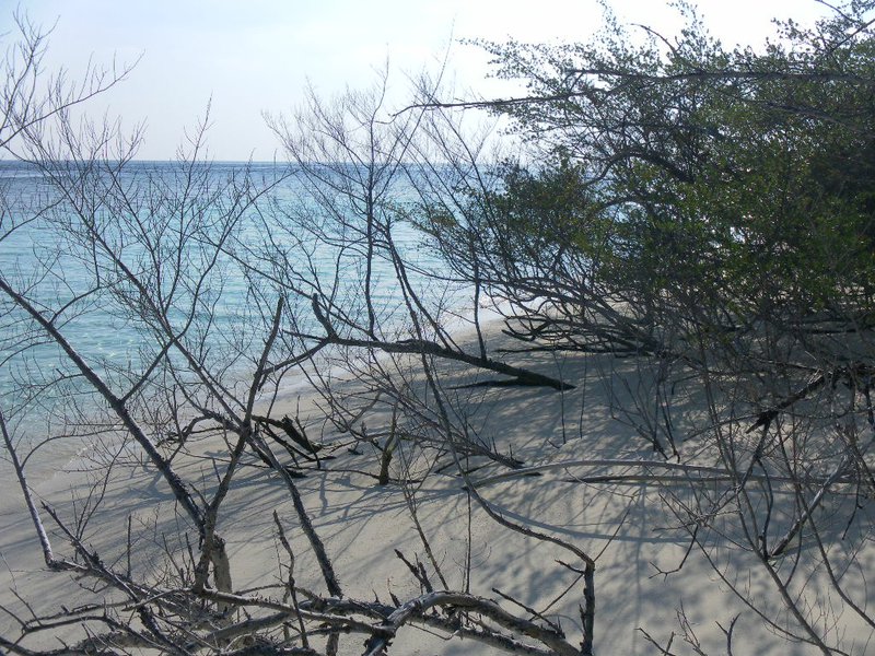 Image SAM_0297.JPG