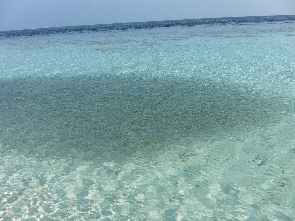 Image SAM_0302.JPG