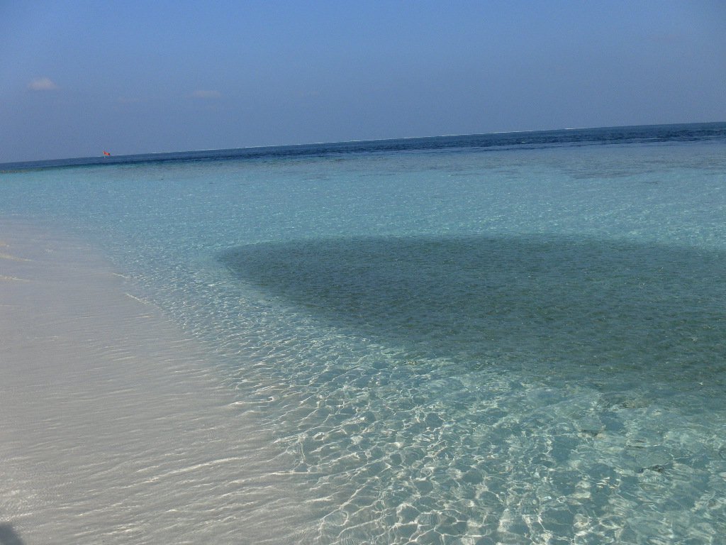 Image SAM_0303.JPG