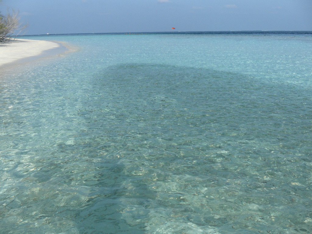 Image SAM_0304.JPG