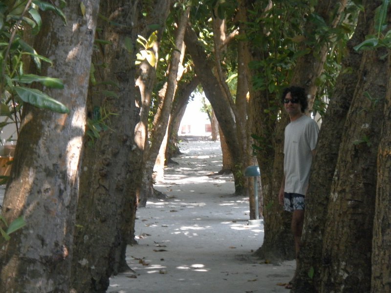 Image SAM_0307.JPG