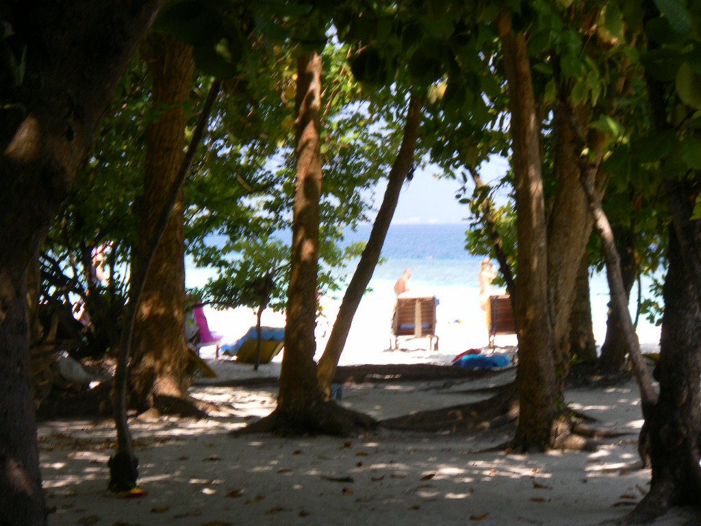 Image SAM_0308.JPG