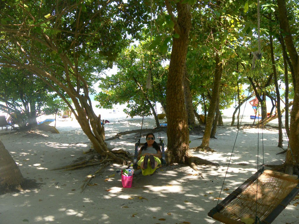 Image SAM_0310.JPG