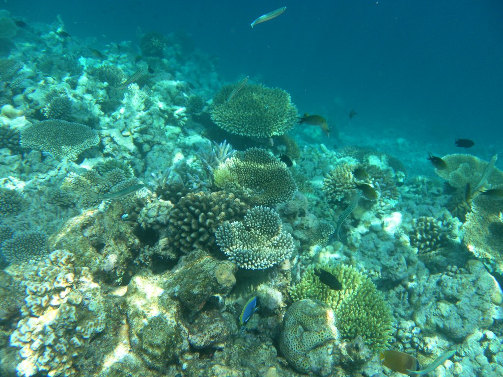 Image SAM_0317.JPG