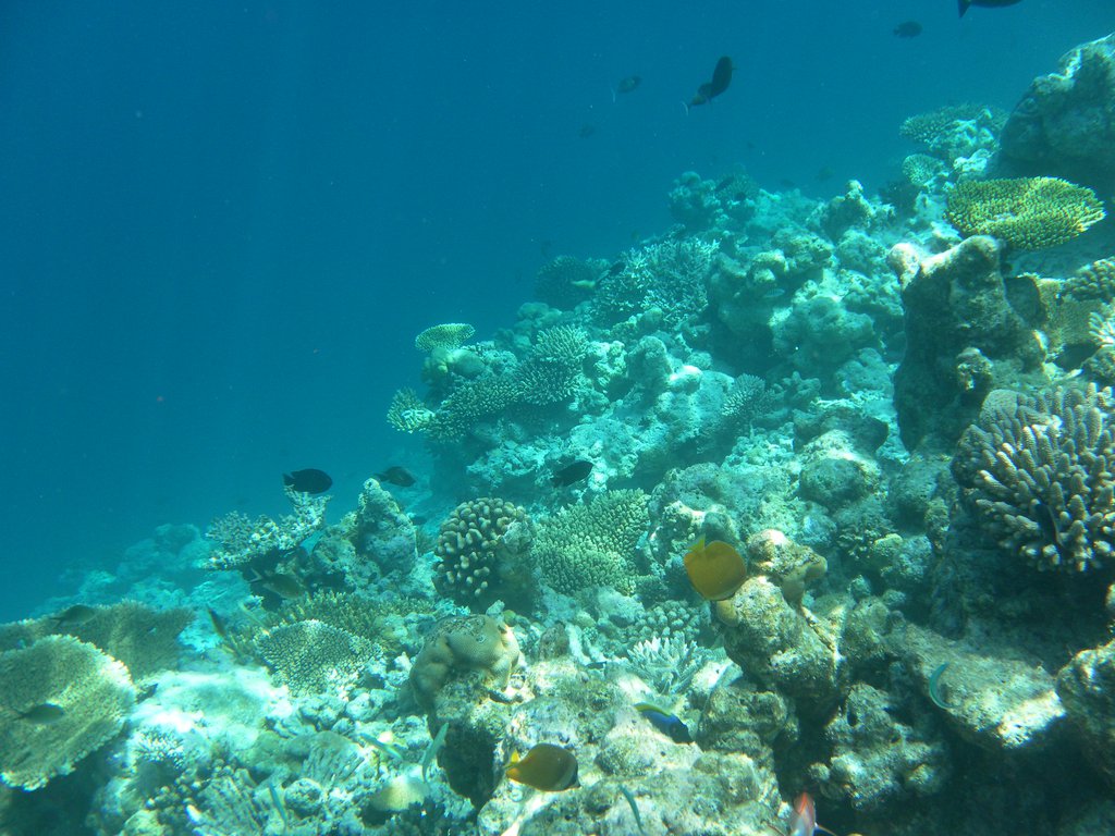 Image SAM_0318.JPG