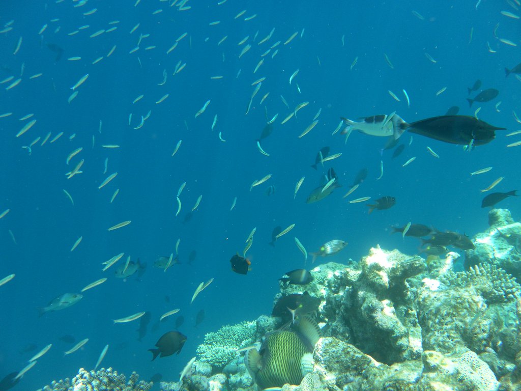Image SAM_0322.JPG