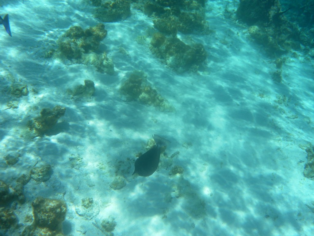 Image SAM_0326.JPG