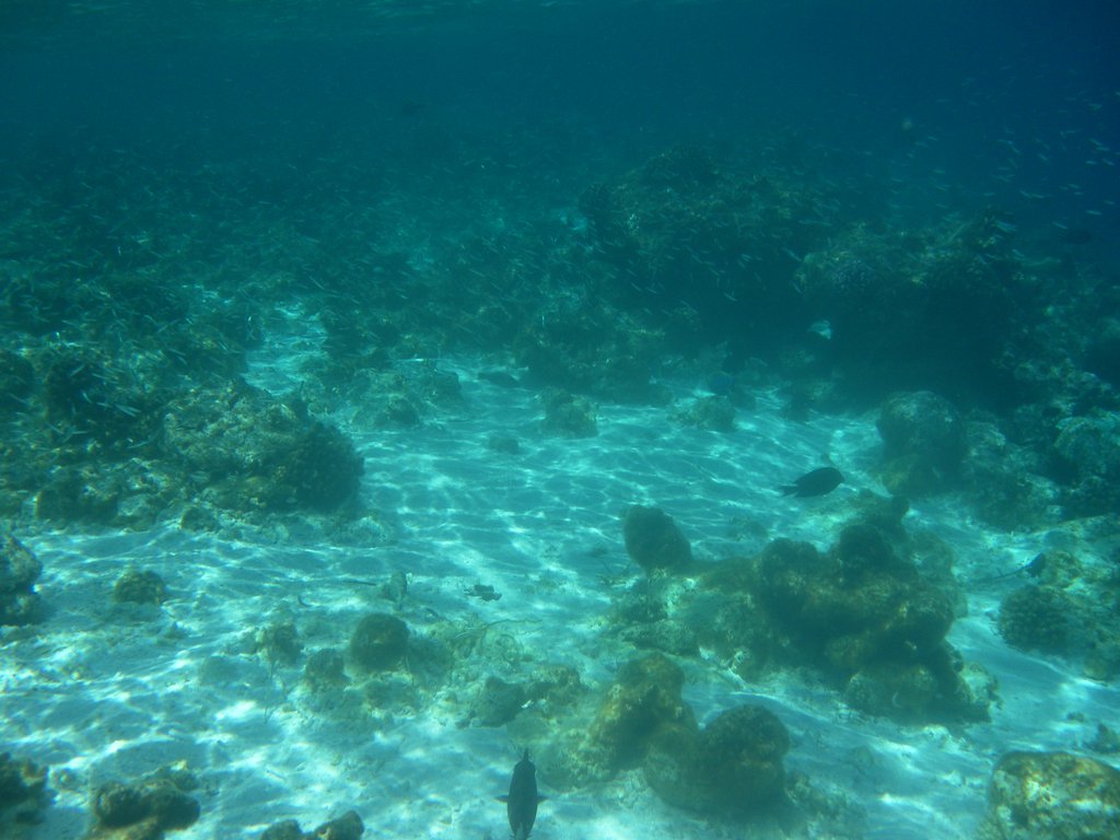 Image SAM_0327.JPG