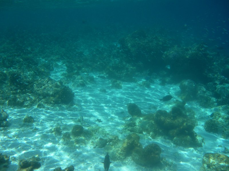 Image SAM_0327.JPG