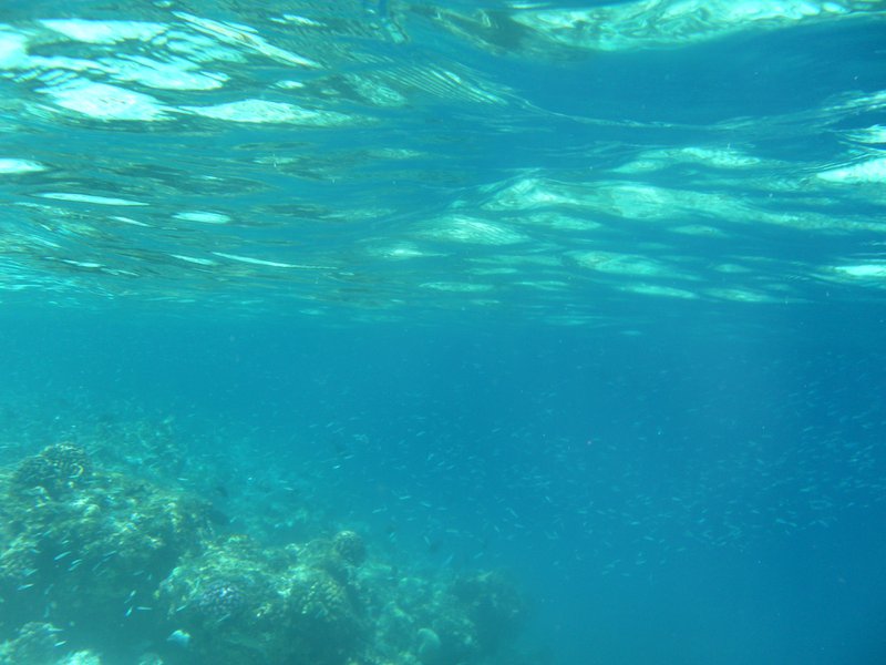 Image SAM_0328.JPG