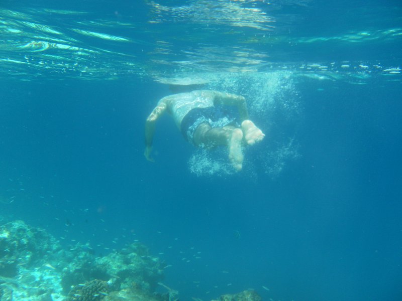 Image SAM_0330.JPG