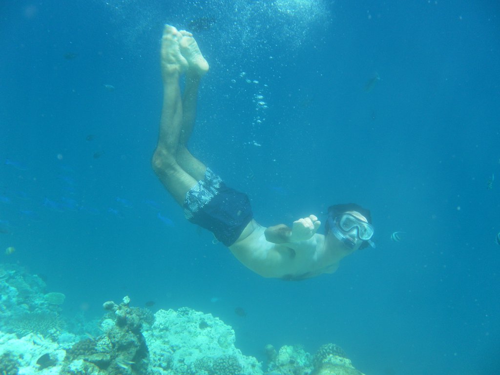 Image SAM_0331.JPG