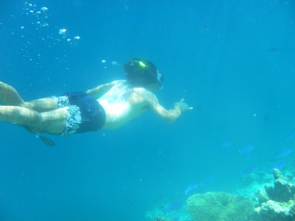 Image SAM_0333.JPG