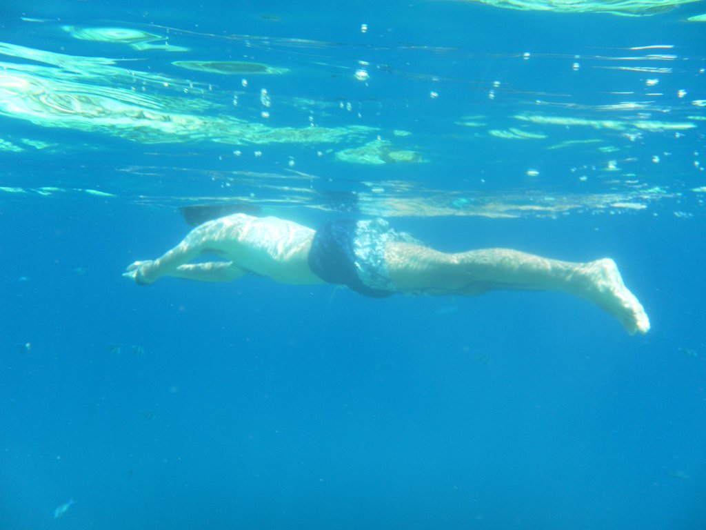Image SAM_0334.JPG