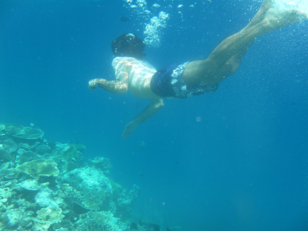 Image SAM_0336.JPG