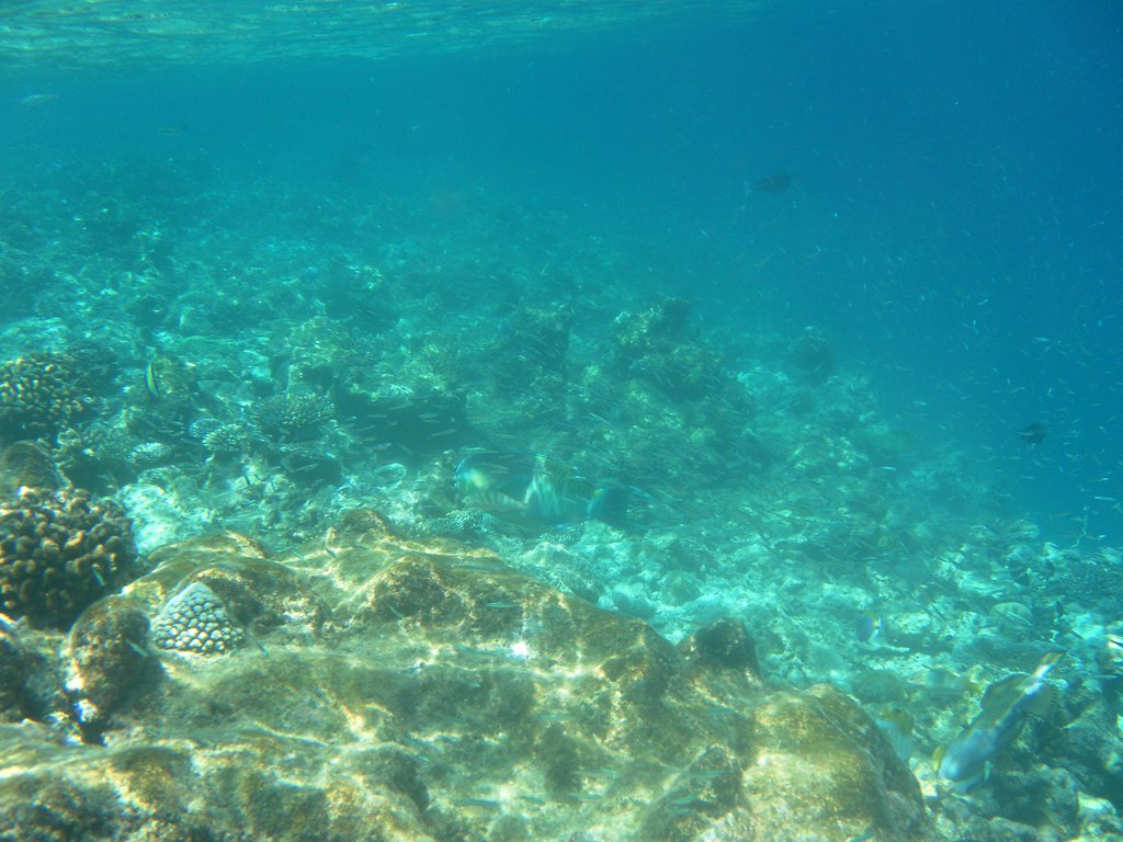 Image SAM_0338.JPG