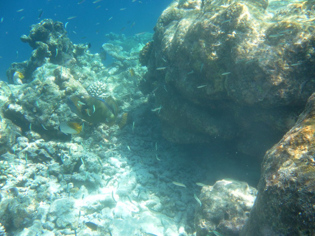 Image SAM_0340.JPG