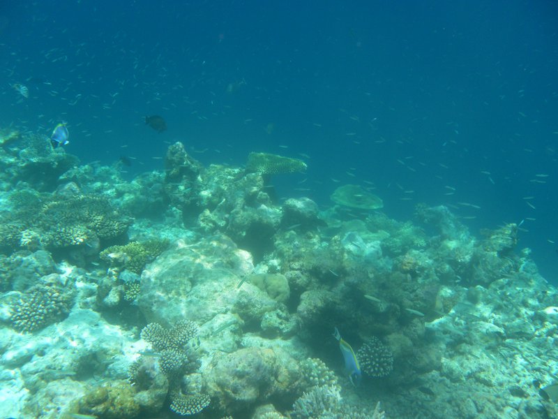 Image SAM_0344.JPG