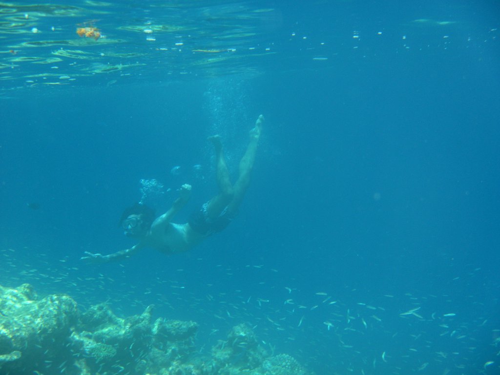 Image SAM_0347.JPG